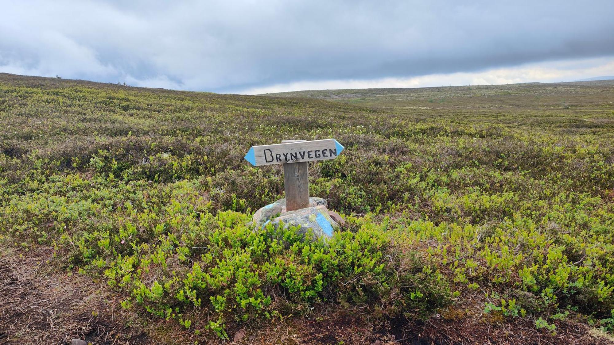 Fulufjellet Hotel Ljordal ภายนอก รูปภาพ