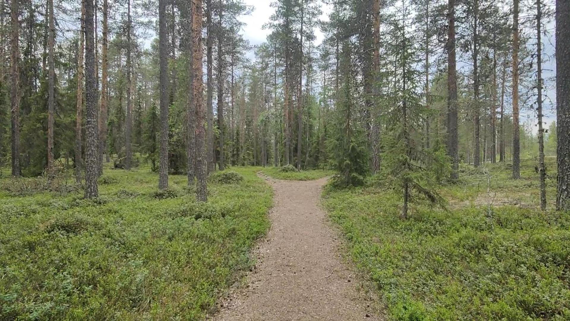 Fulufjellet Hotel Ljordal ภายนอก รูปภาพ