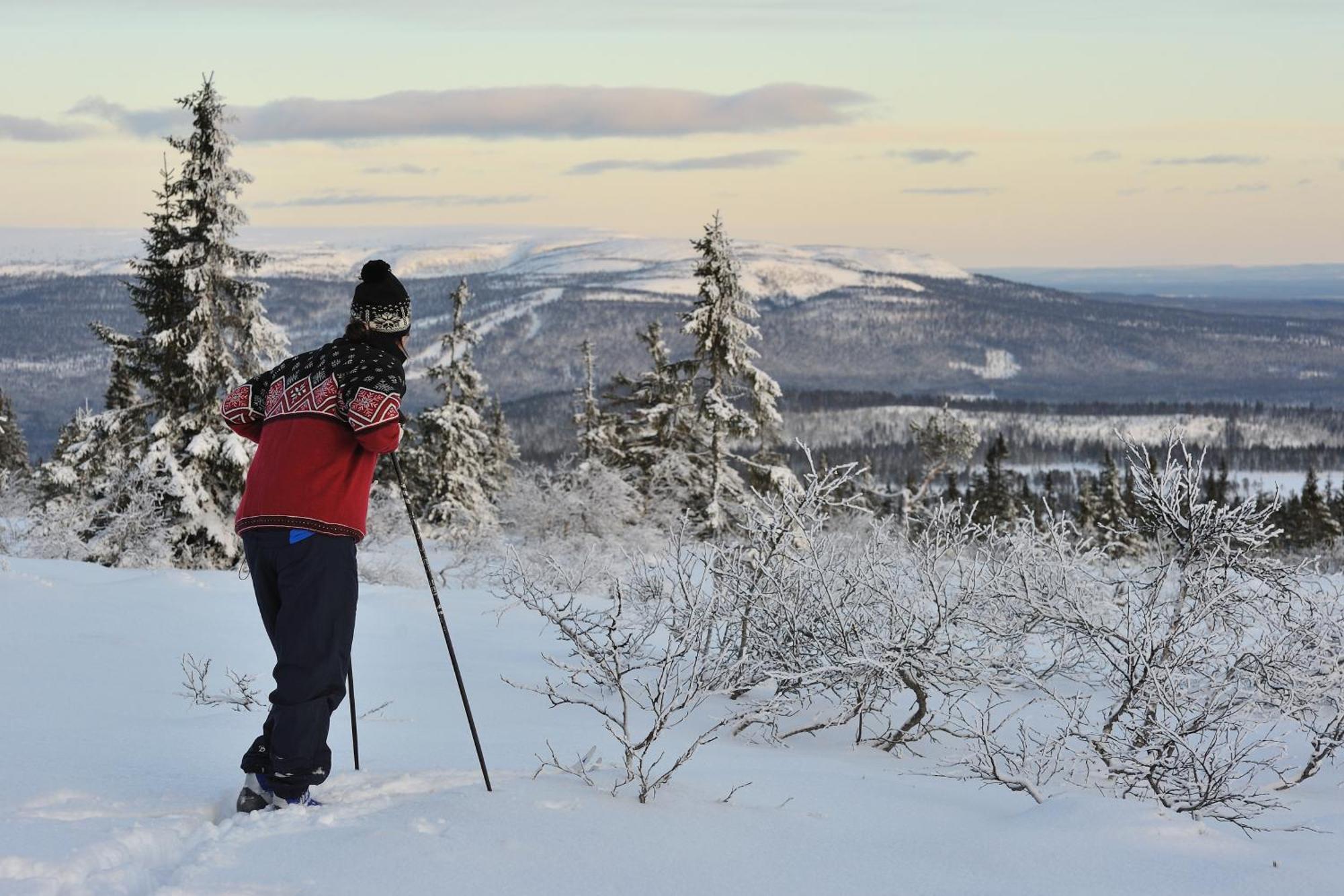 Fulufjellet Hotel Ljordal ภายนอก รูปภาพ